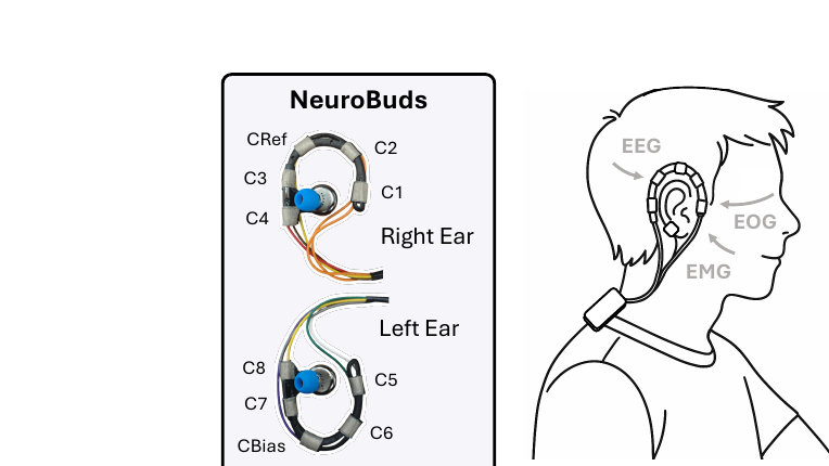 Beyond Hearing